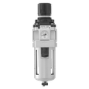 MIST SEPARATOR REGULATOR